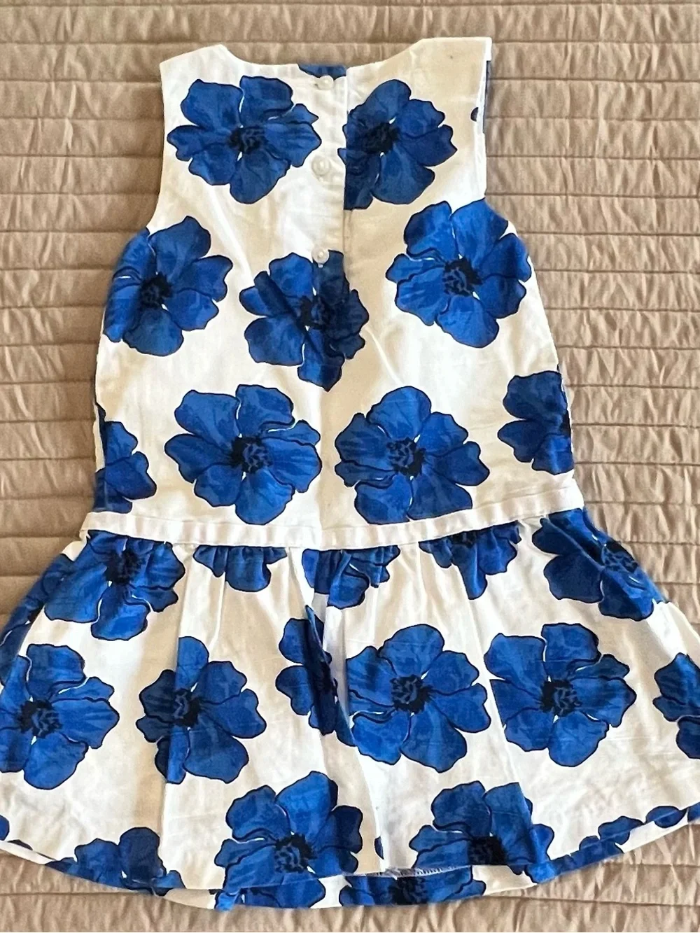 Janie and Jack White Dress with Bold Blue Floral Print